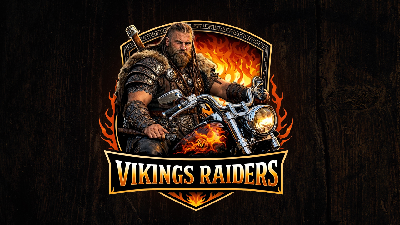 Vikings Raiders